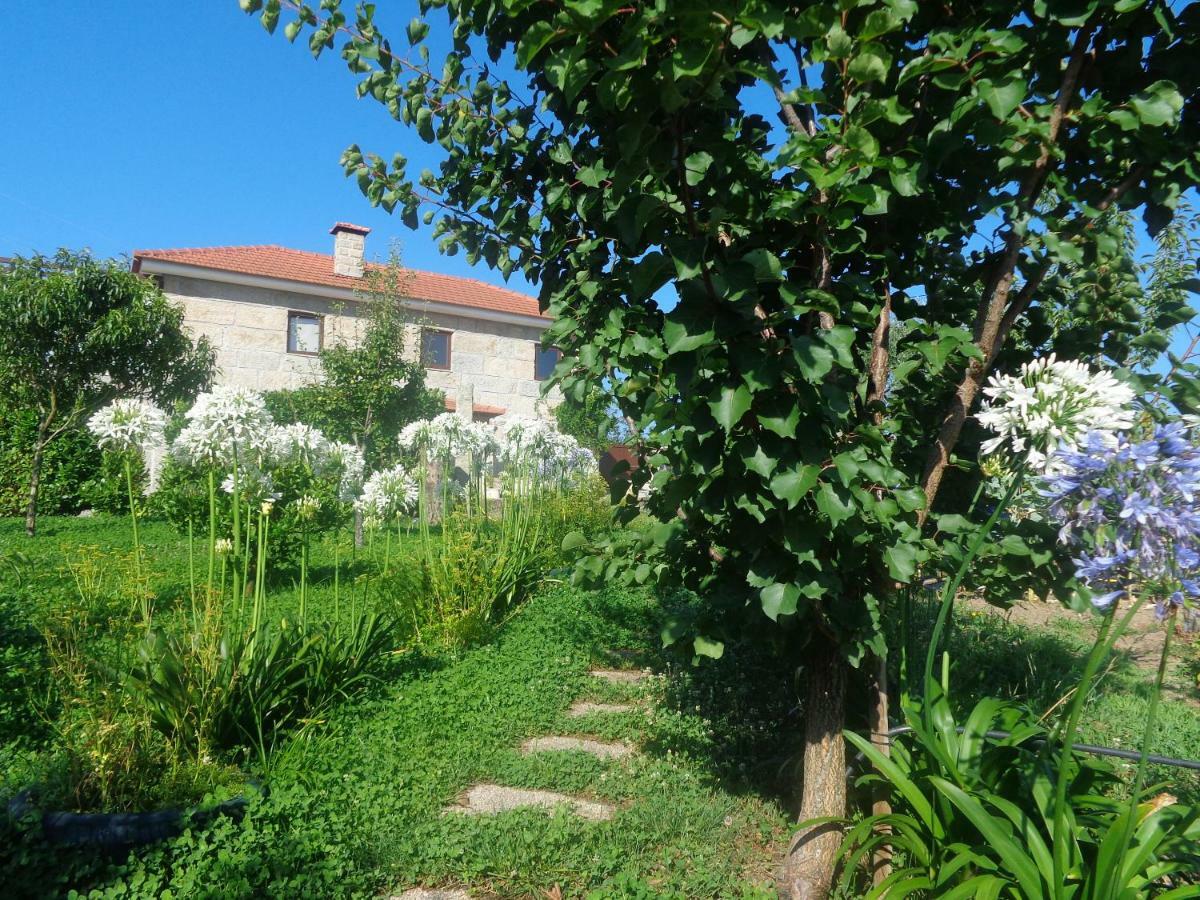 Bernardes House Guest House Castelo de Paiva Exterior photo