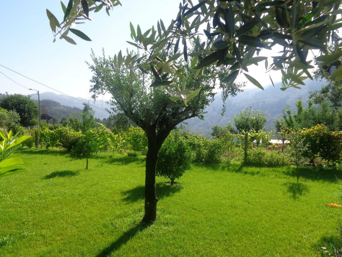 Bernardes House Guest House Castelo de Paiva Exterior photo
