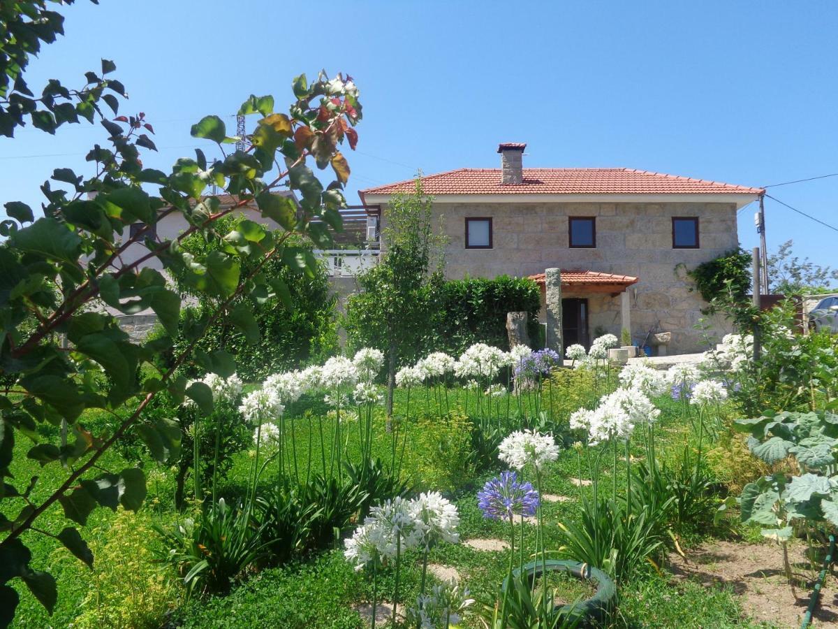 Bernardes House Guest House Castelo de Paiva Exterior photo